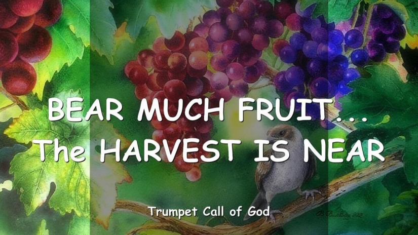 bear fruit trumpet call